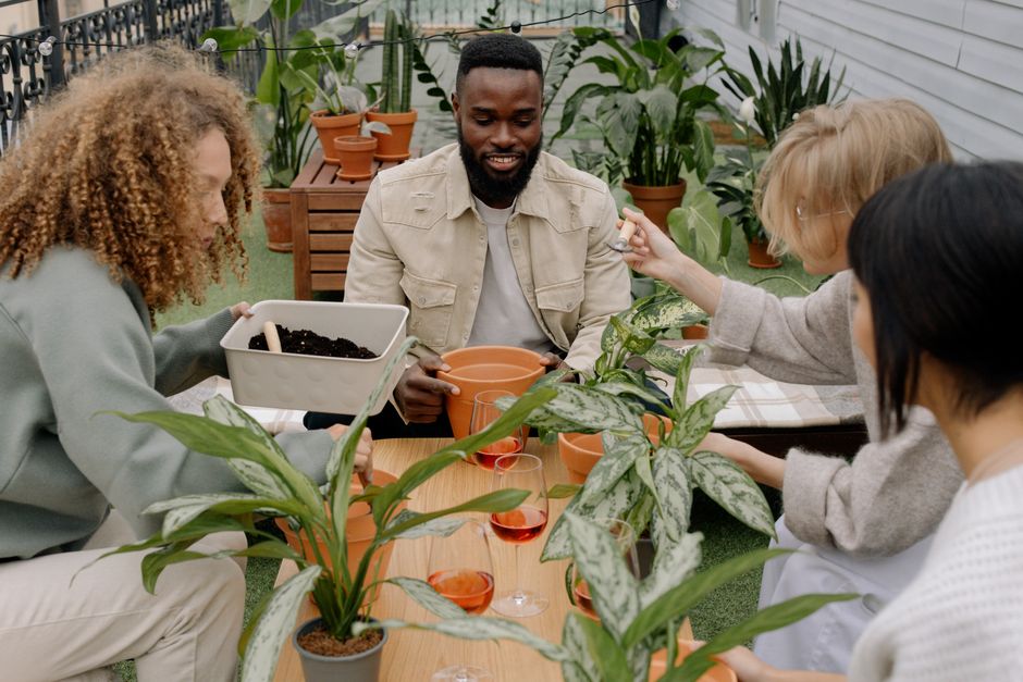 A diverse group of adults engaging in a fun indoor gardening session with potted plants.