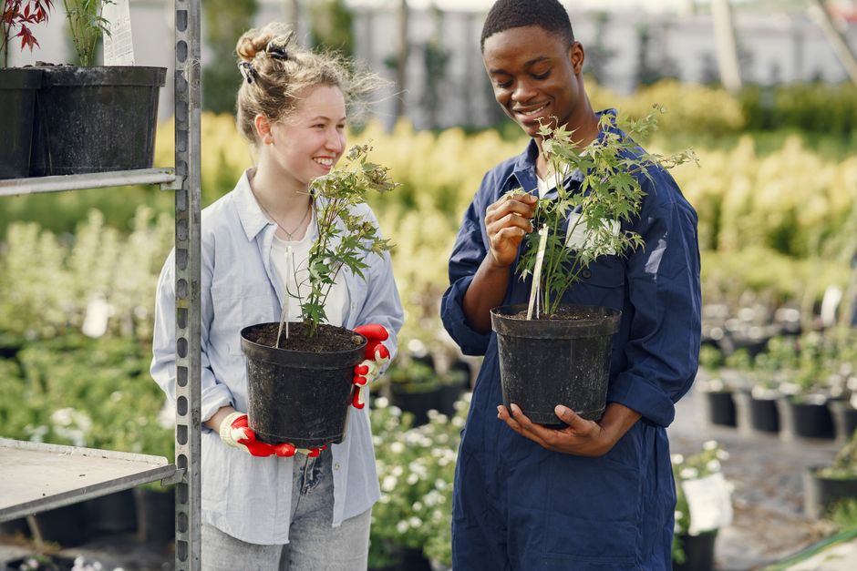 Two gardeners smiling while holding potted plants in a sunny greenhouse garden.